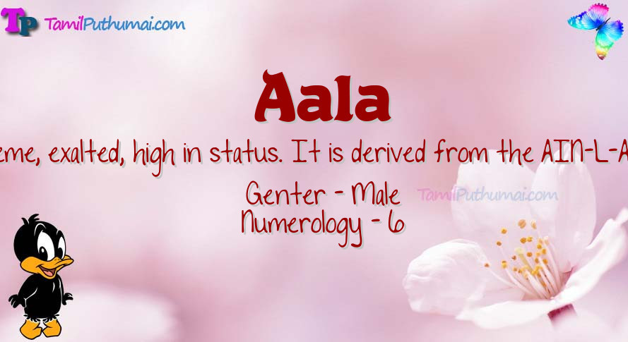 Aala-babyname-meaning