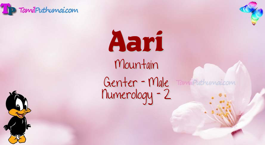 Aari-babyname-meaning