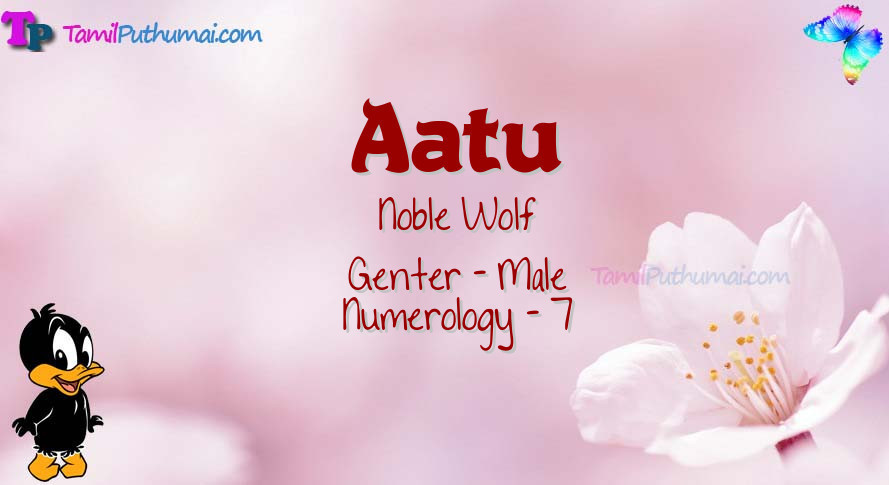 Aatu-babyname-meaning