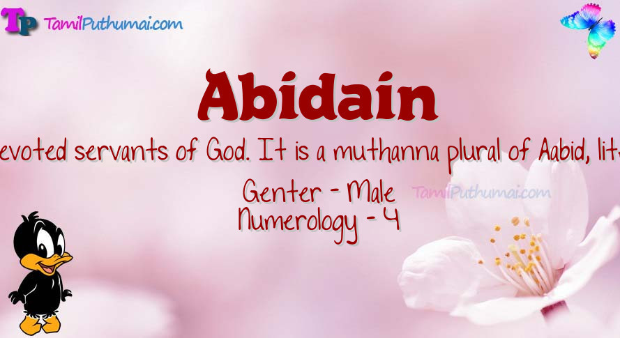 Abidain-babyname-meaning