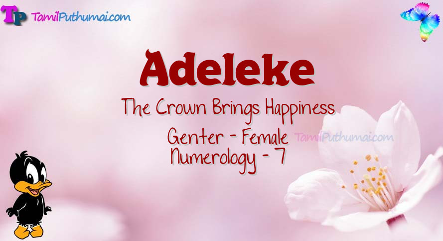 Adeleke-babyname-meaning