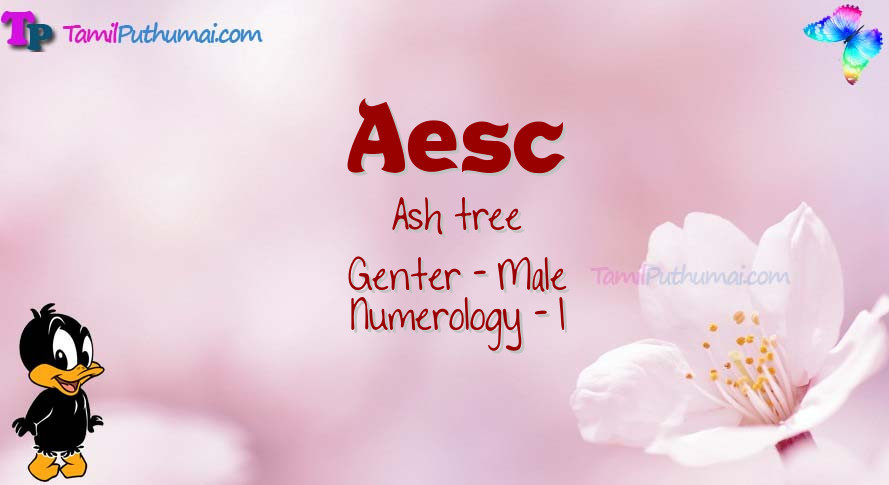 Aesc-babyname-meaning