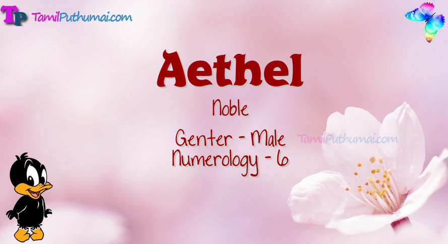 Aethel-babyname-meaning