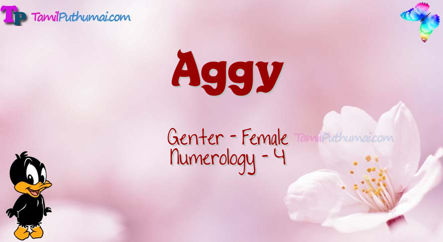 Aggy-babyname-meaning