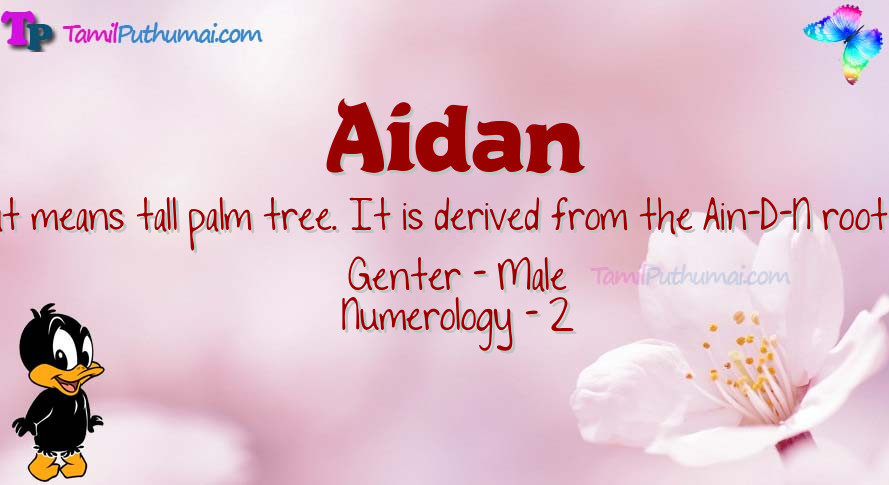 Aidan-babyname-meaning