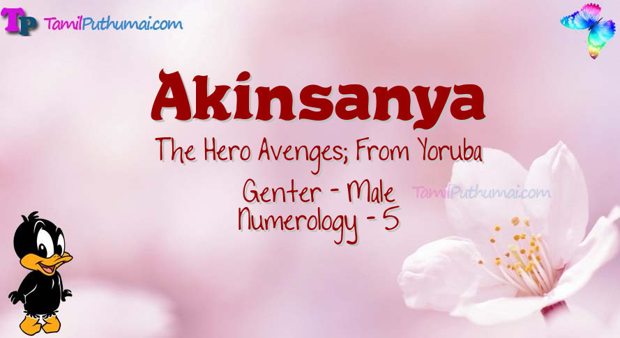 Akinsanya-babyname-meaning