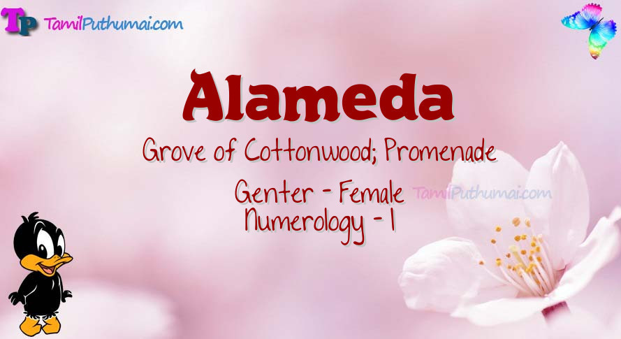 Alameda-babyname-meaning