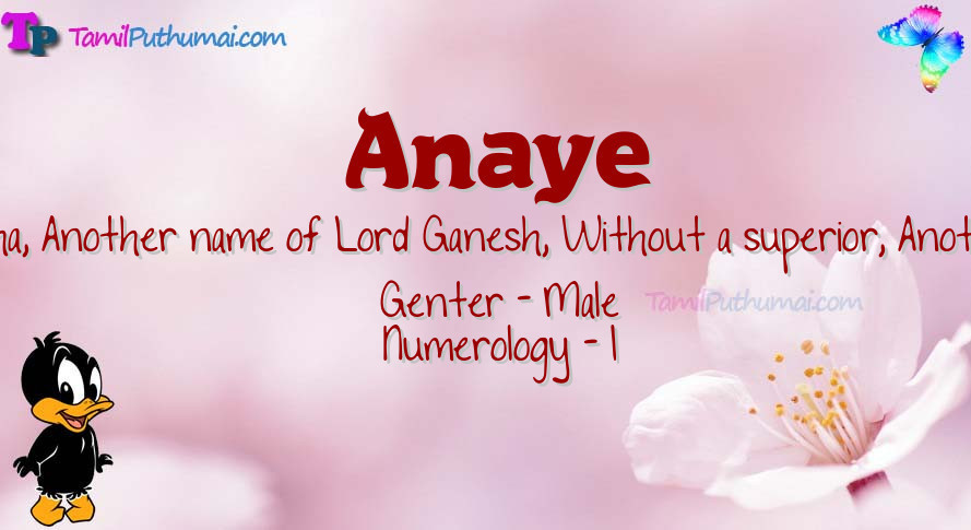 Anaye-babyname-meaning