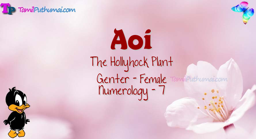 Aoi-babyname-meaning