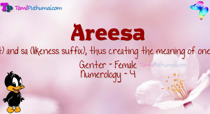 Areesa-babyname-meaning