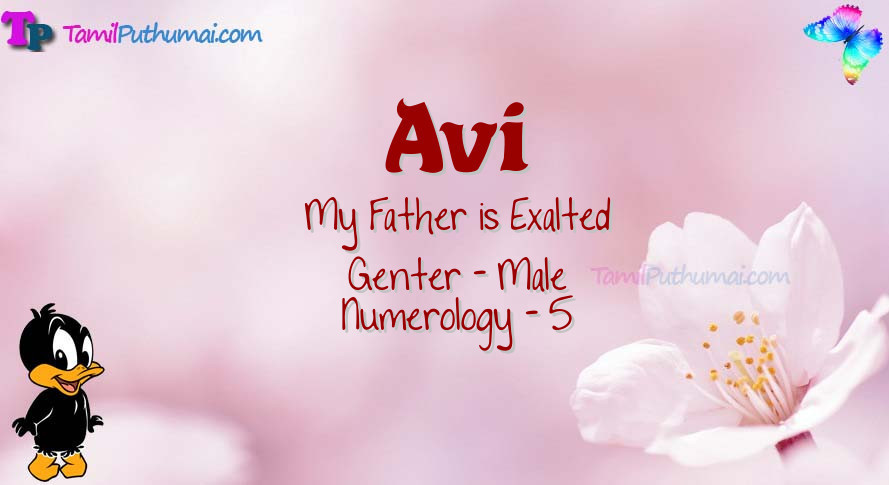 Avi-babyname-meaning