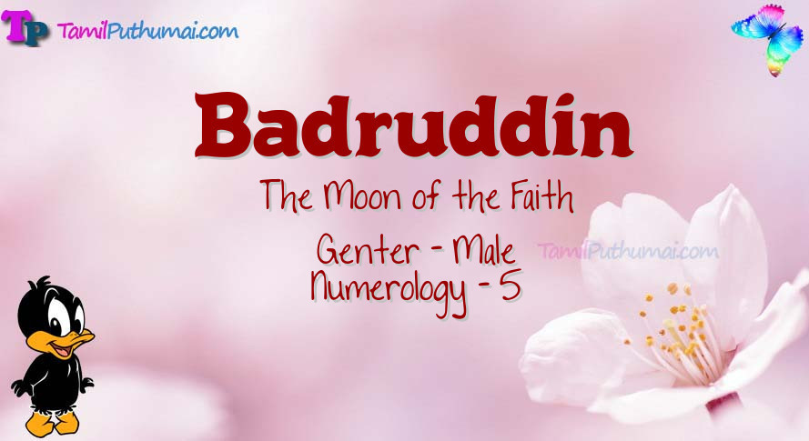 Badruddin-babyname-meaning