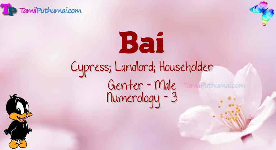 Bai-babyname-meaning