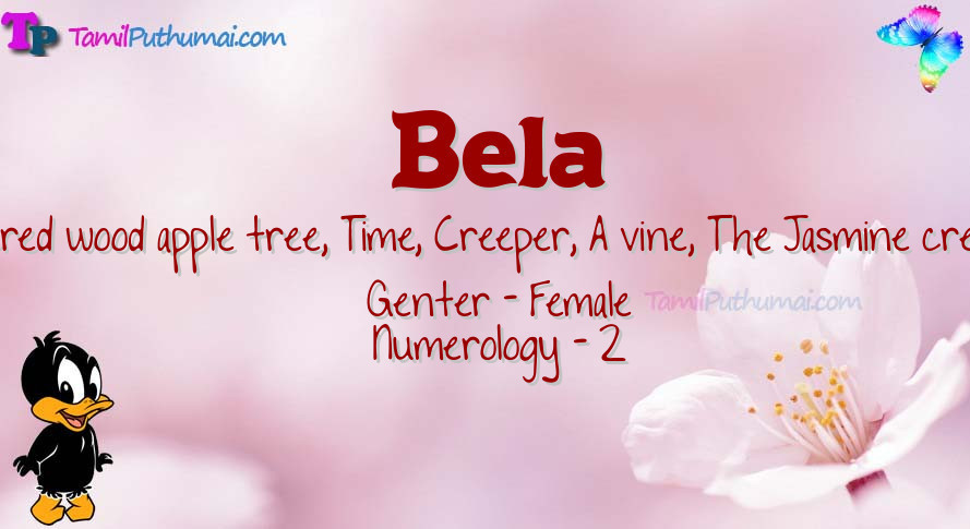 Bela-babyname-meaning