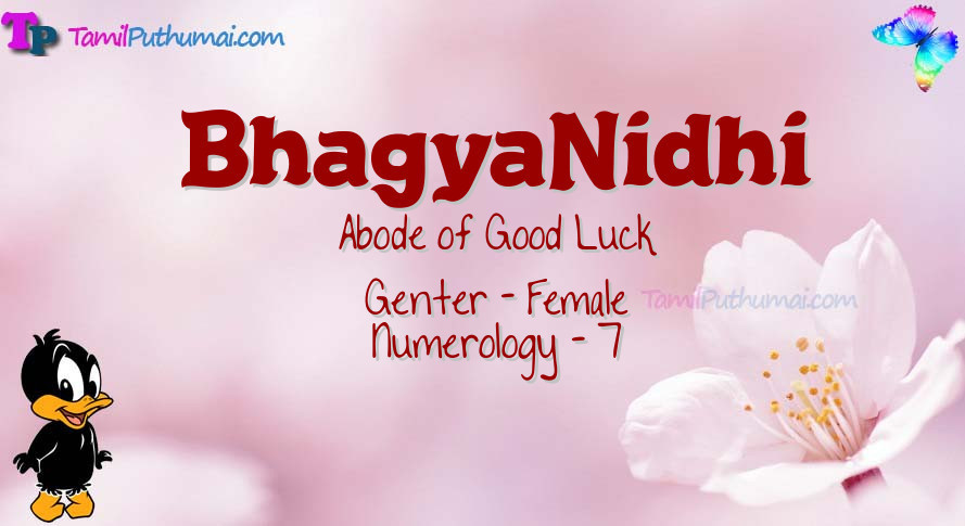 BhagyaNidhi-babyname-meaning