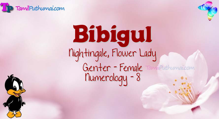 Bibigul-babyname-meaning