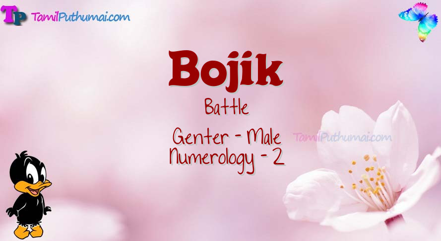 Bojik-babyname-meaning