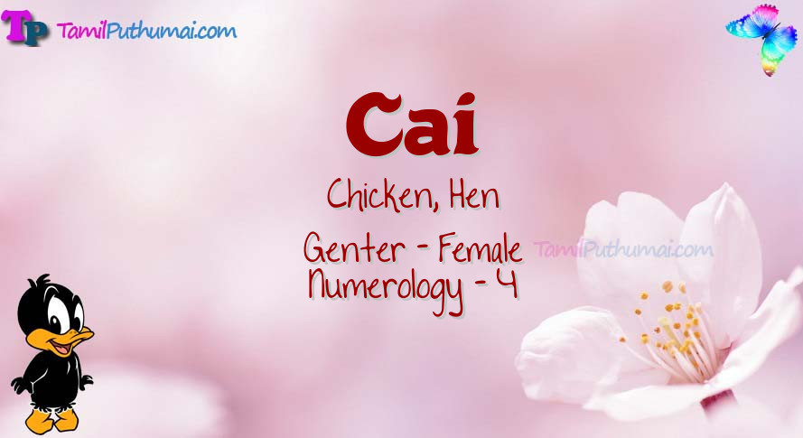 Cai-babyname-meaning