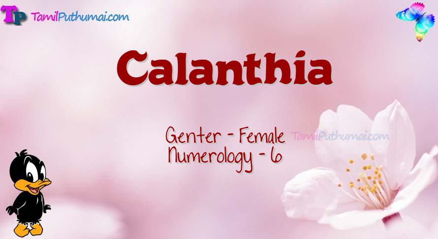 Calanthia-babyname-meaning