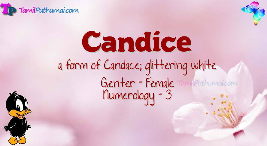 Candice-babyname-meaning