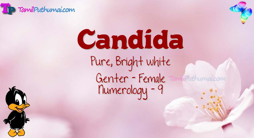 Candida-babyname-meaning