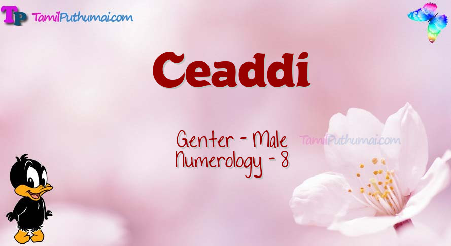 Ceaddi-babyname-meaning