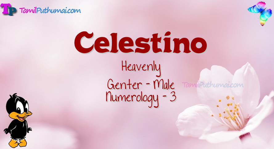 Celestino-babyname-meaning