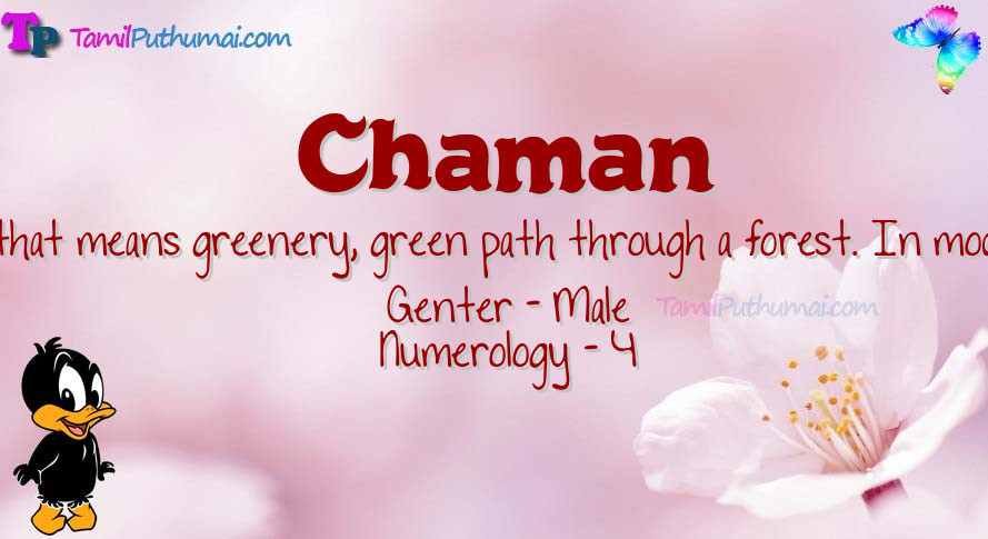Chaman-babyname-meaning