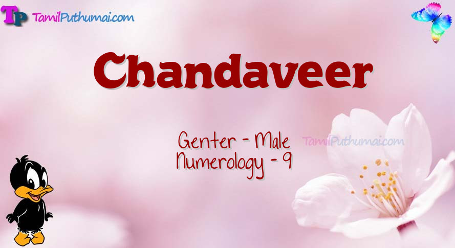 Chandaveer-babyname-meaning