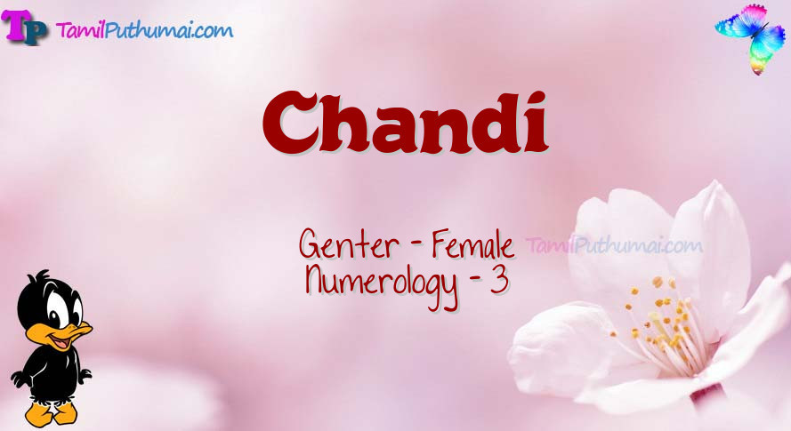 Chandi-babyname-meaning
