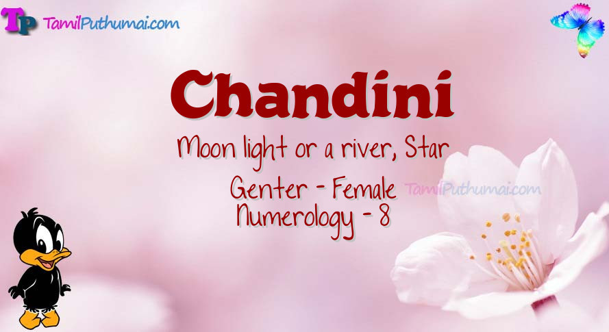 Chandini-babyname-meaning