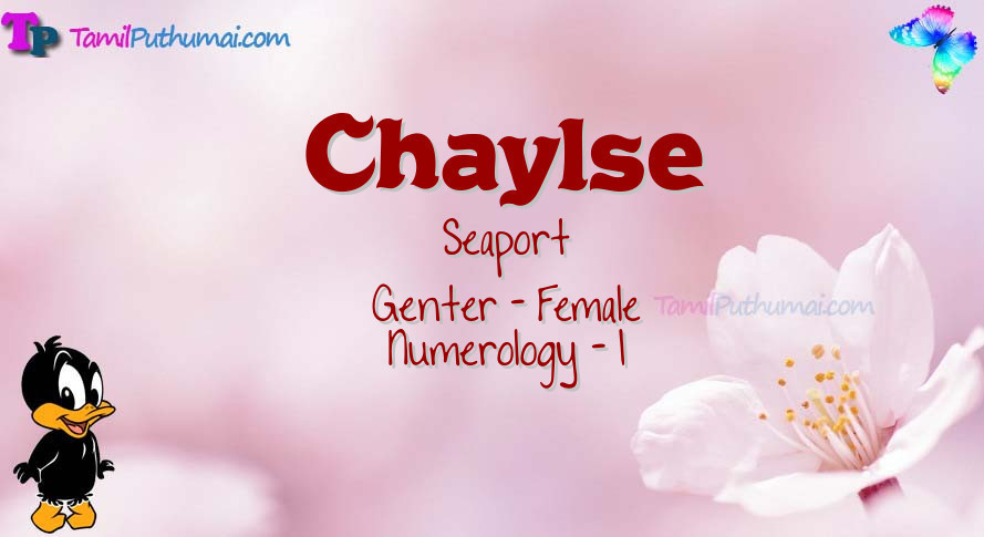 Chaylse-babyname-meaning
