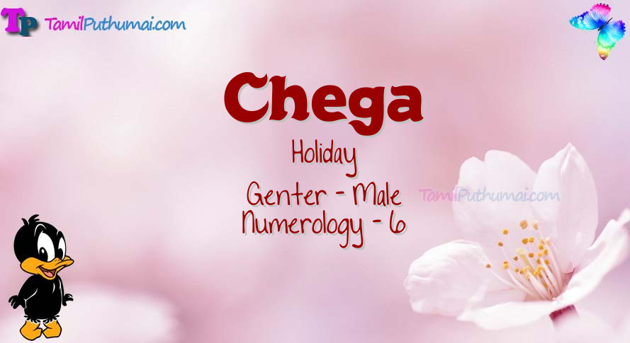 Chega-babyname-meaning