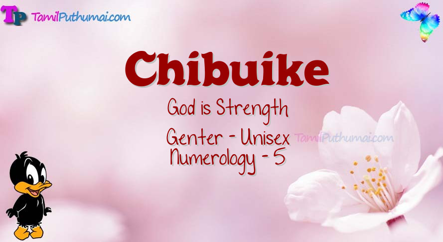Chibuike-babyname-meaning
