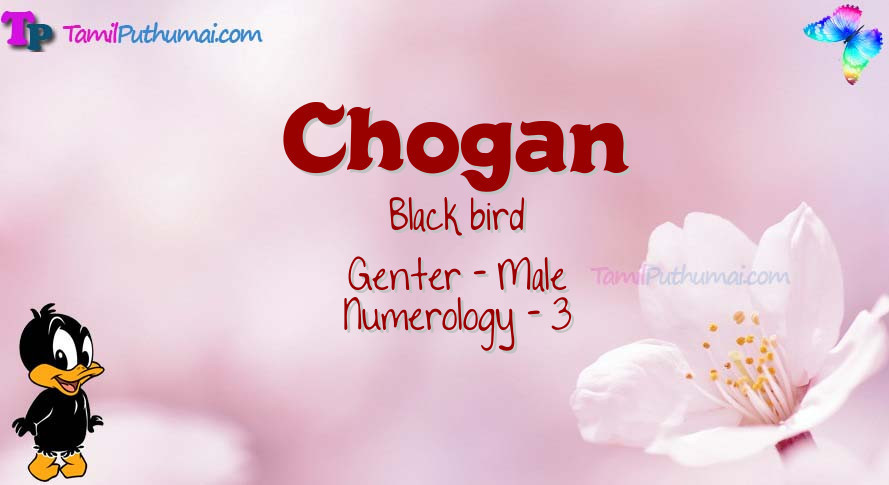 Chogan-babyname-meaning