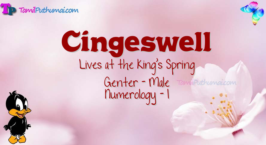 Cingeswell-babyname-meaning