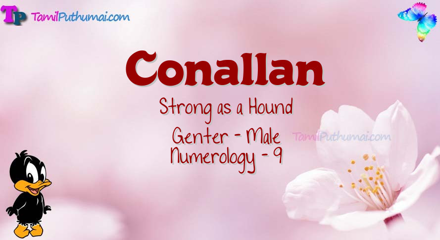Conallan-babyname-meaning