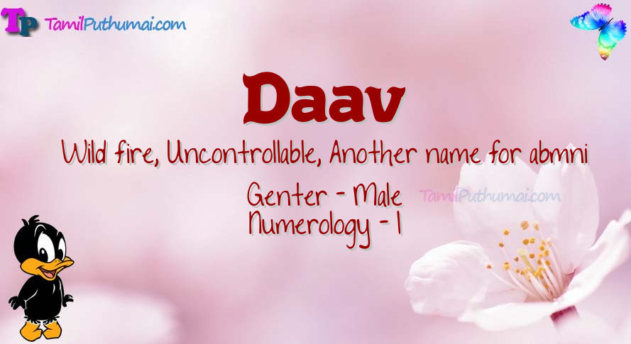 Daav-babyname-meaning