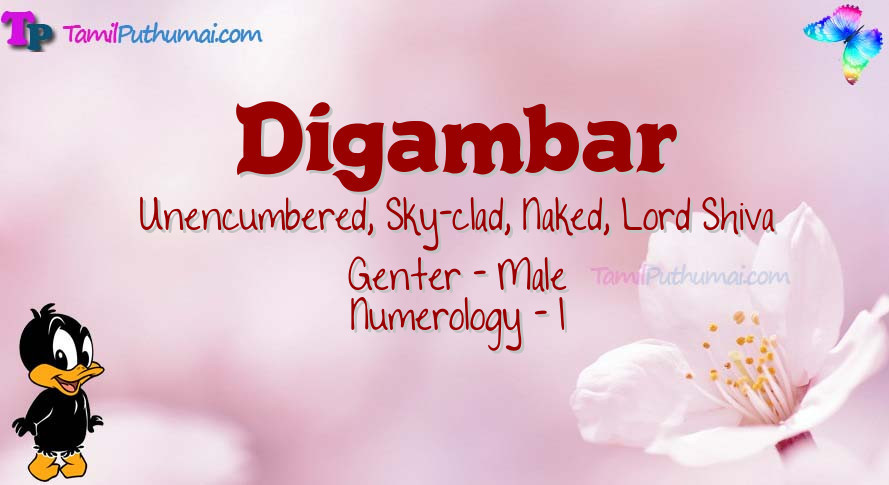 Digambar-babyname-meaning