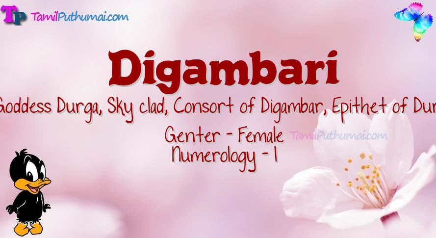 Digambari-babyname-meaning