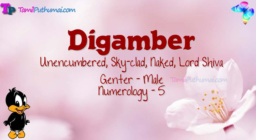 Digamber-babyname-meaning