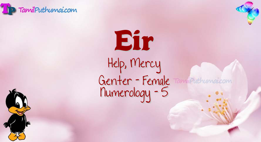 Eir-babyname-meaning