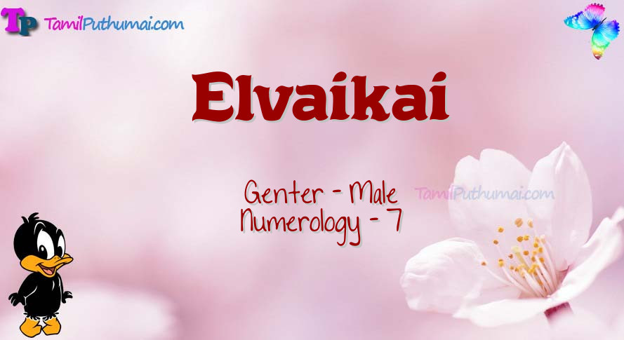 Elvaikai-babyname-meaning
