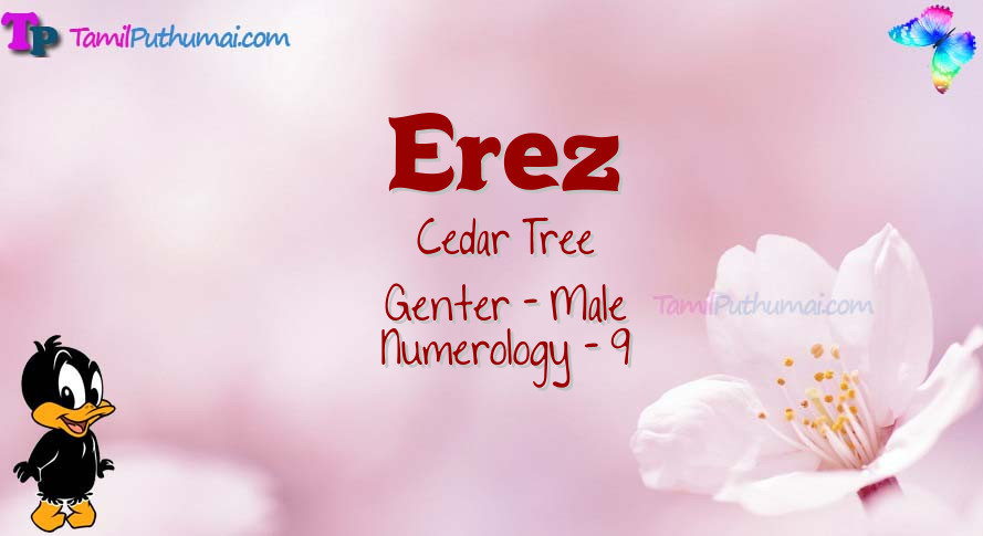 Erez-babyname-meaning