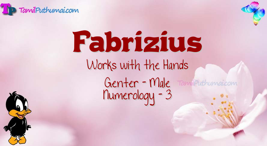 Fabrizius-babyname-meaning