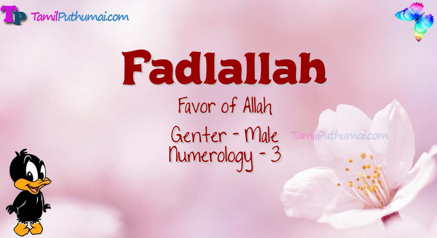 Fadlallah-babyname-meaning