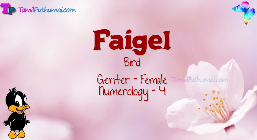 Faigel-babyname-meaning