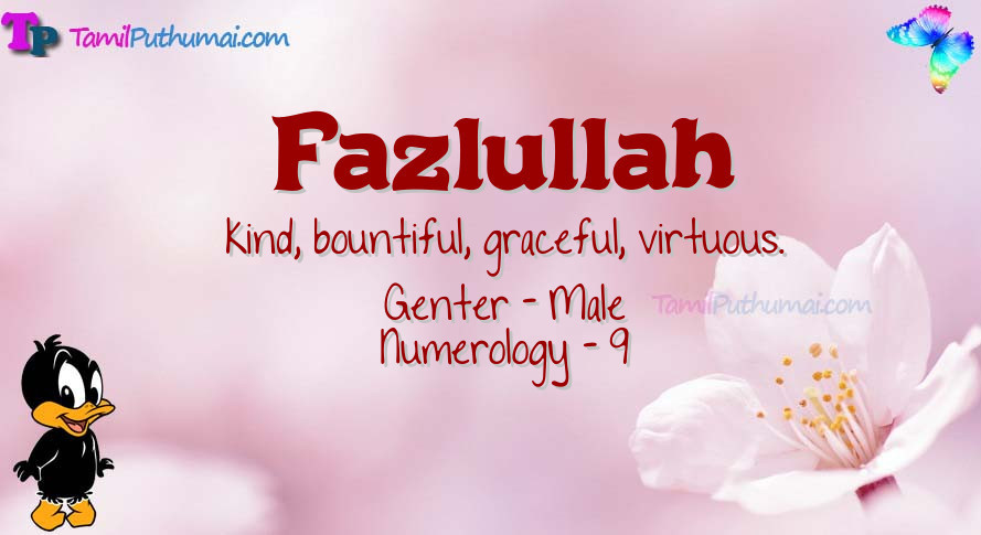 Fazlullah-babyname-meaning