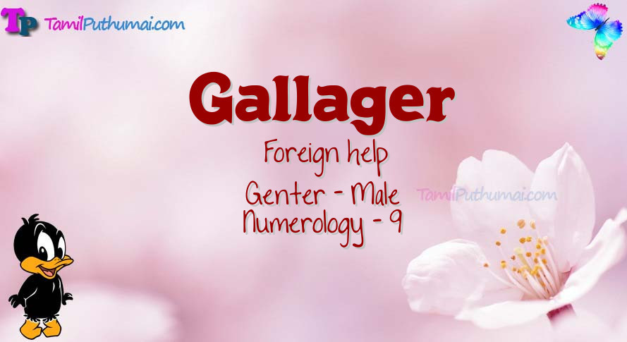 Gallager-babyname-meaning