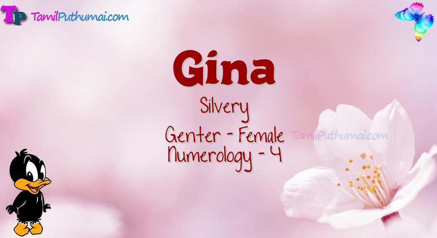 Gina-babyname-meaning